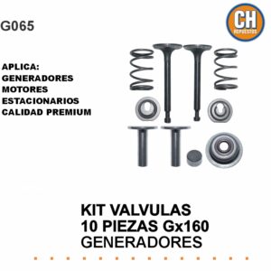 KIT VALVULAS 10 PIEZAS GX160