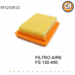 FILTRO AIRE FS 120 RFS250R22 LQ