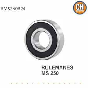 RULEMANES MS 250  RMS250R24 LQ